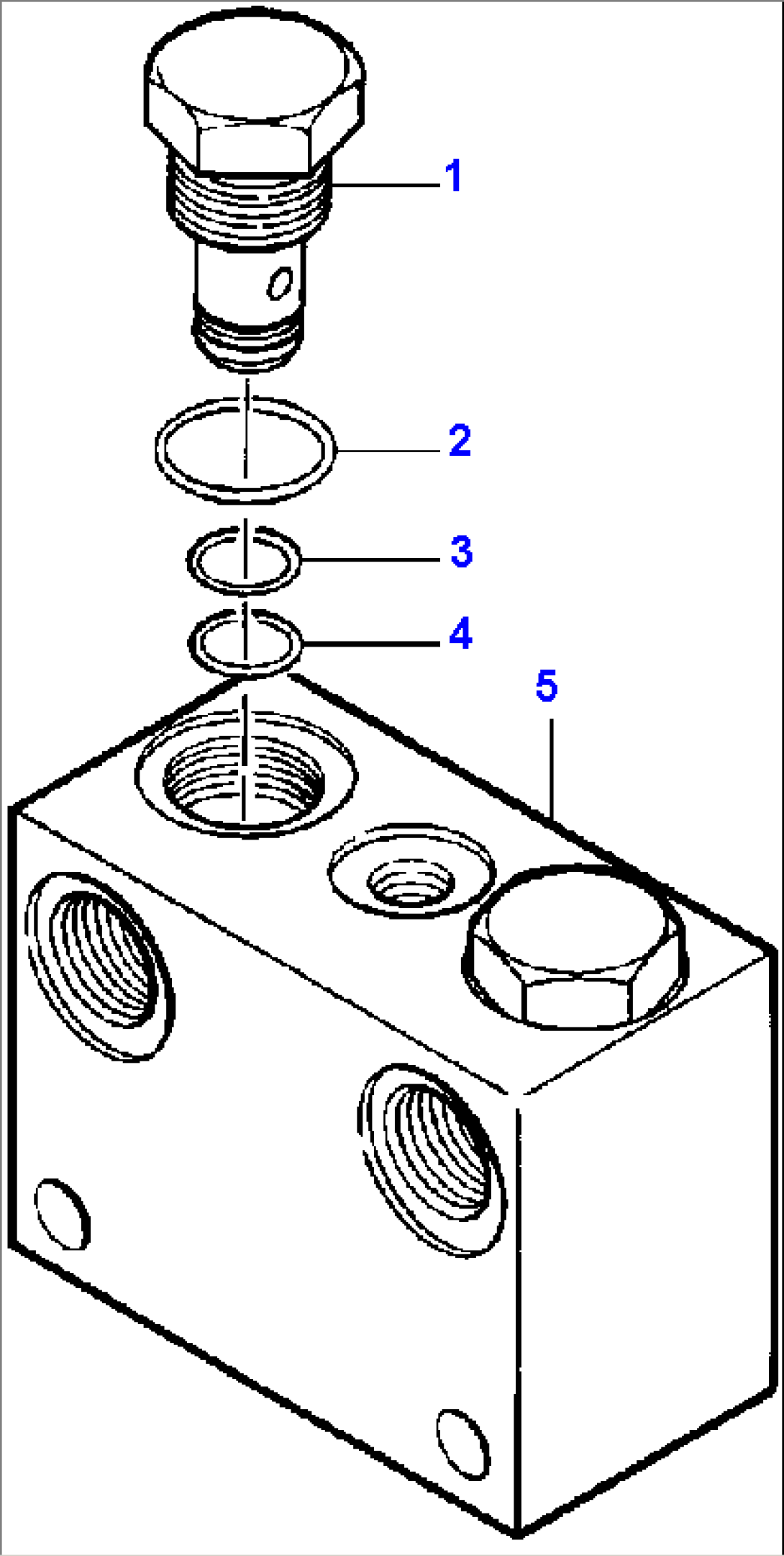 BRAKE CHECK VALVE