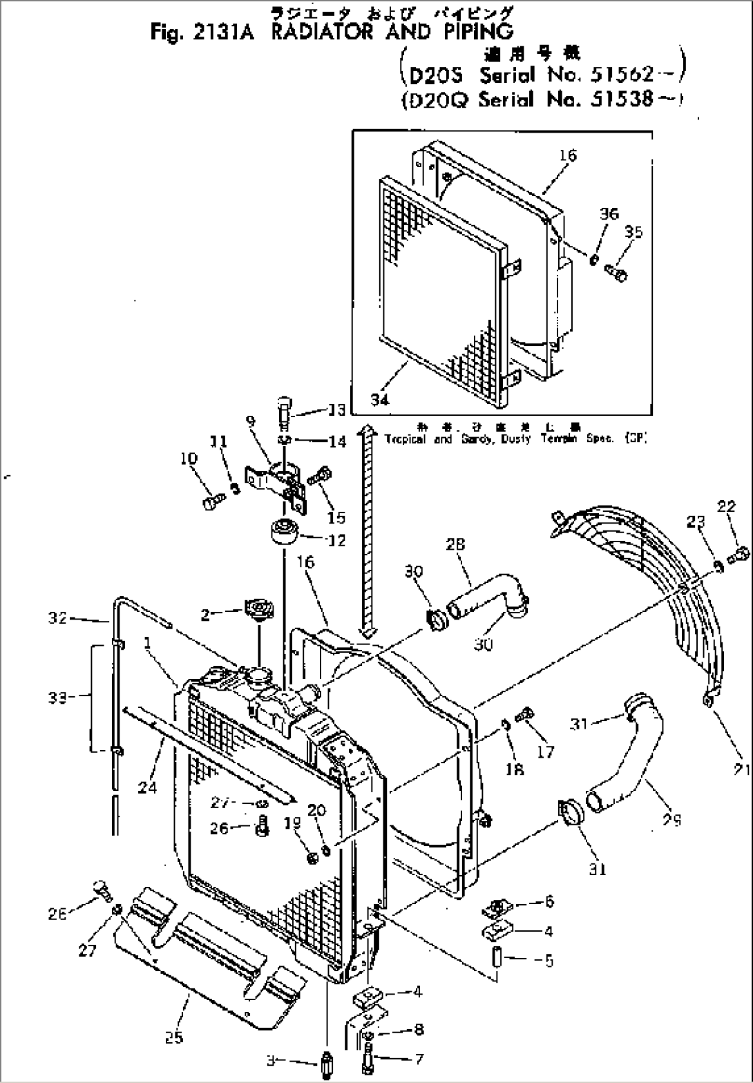 RADIATOR AND PIPING(#51538-)