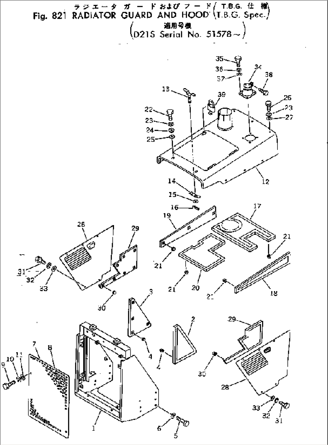 RADIATOR GUARD AND HOOD (TBG SPEC.)(#51578-)