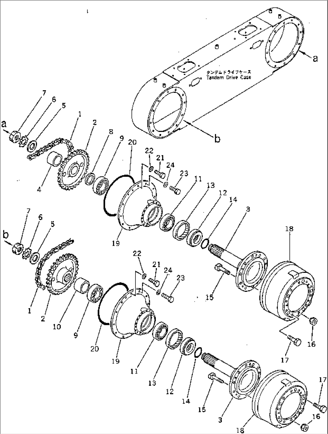 TANDEM DRIVE CASE AND CHAIN
